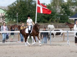 IMG_8140_web